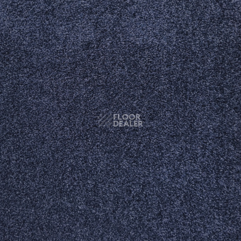Ковролин  Blue фото 1 | FLOORDEALER